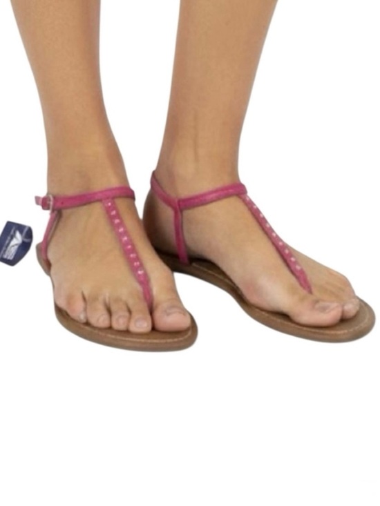 American Eagle Outfitters Shoes - American Eagle Outfitters Sandals (NWT) (Size: 9)